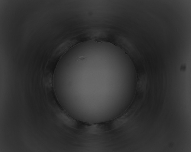 X0000093090430200710031442
