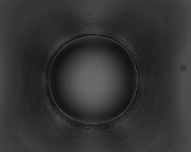 X0000093090434200710031441