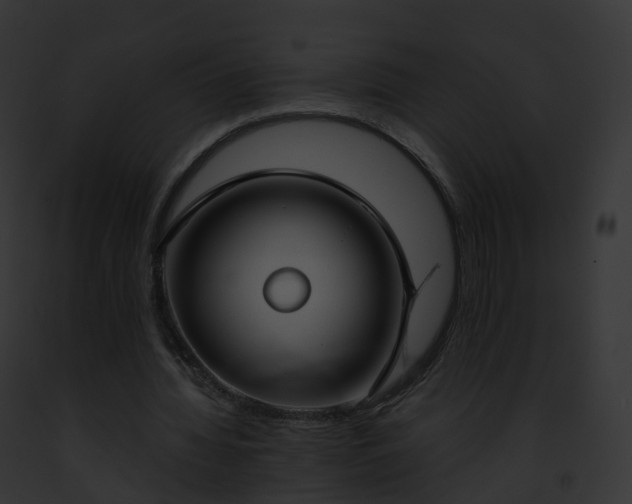 X0000093090436200710031441