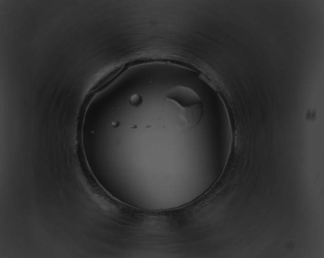 X0000093090438200710031441