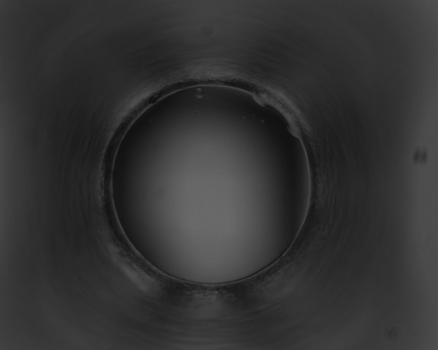 X0000093090439200710031441