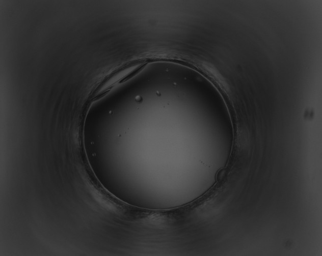 X0000093090441200710031442