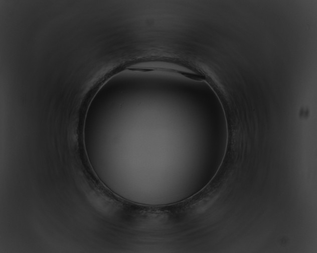X0000093090443200710031442