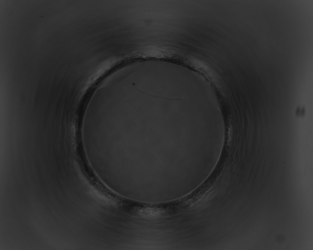X0000093090444200710031442