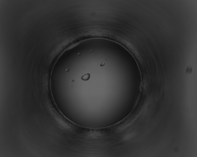 X0000093090445200710031442
