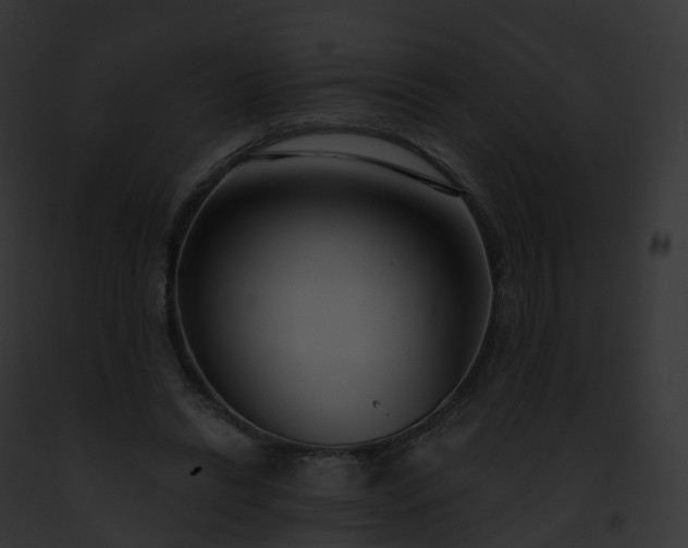 X0000093090446200710031442