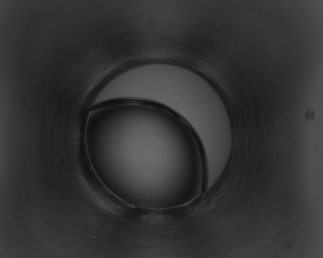 X0000093090448200710031442