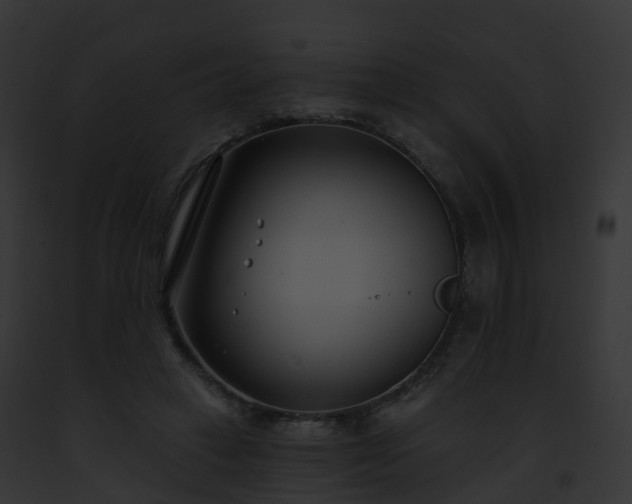 X0000093090449200710031442