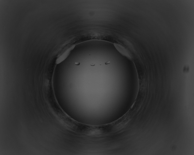 X0000093090456200710031442