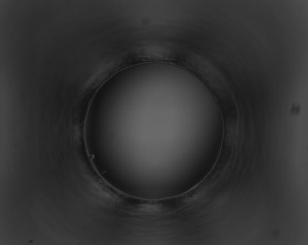 X0000093090457200710031442