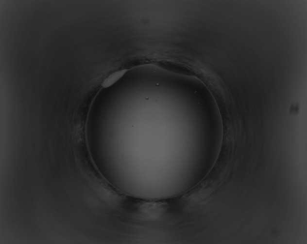 X0000093090465200710031442