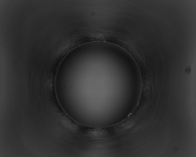 X0000093090466200710031442