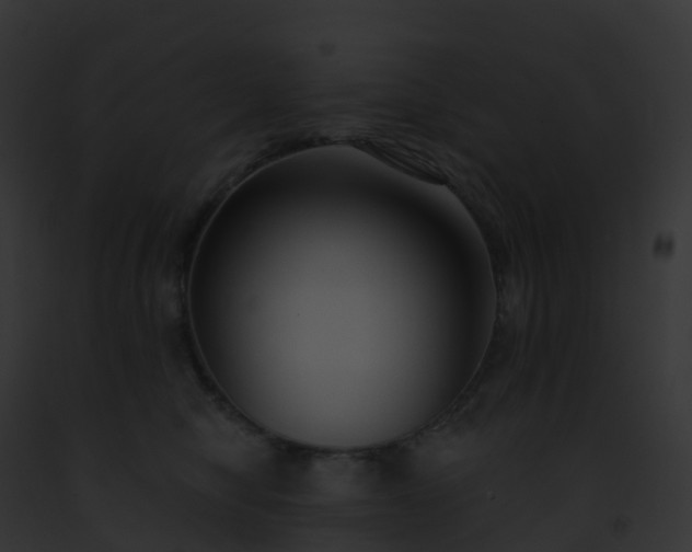 X0000093090470200710031442