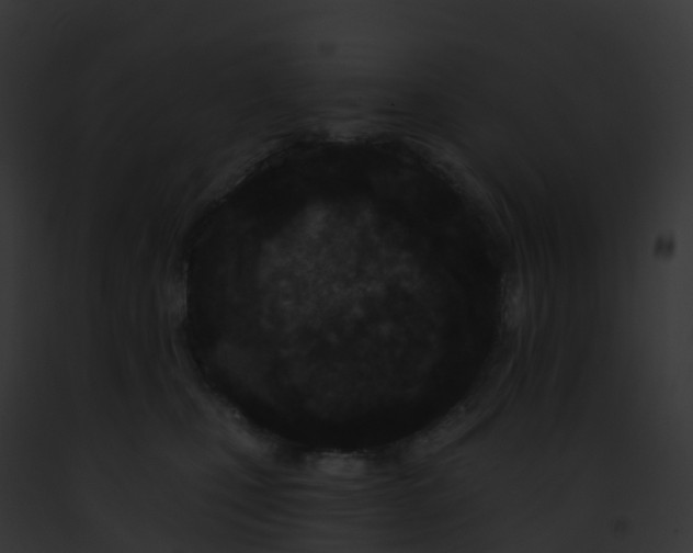 X0000093090471200710031442