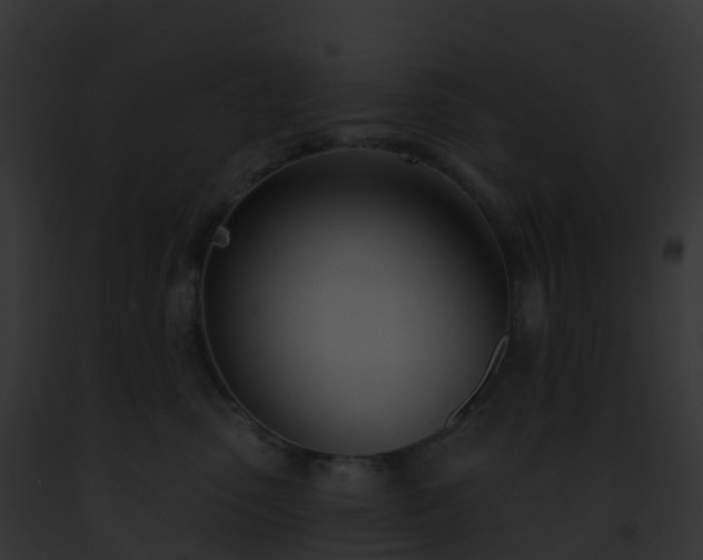 X0000093090475200710031442