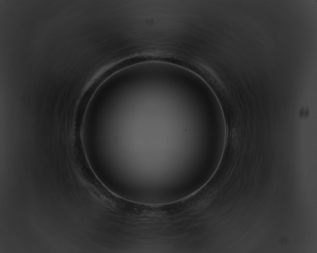 X0000093090484200710031441