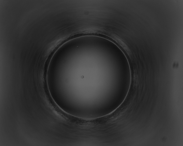 X0000093090485200710031441