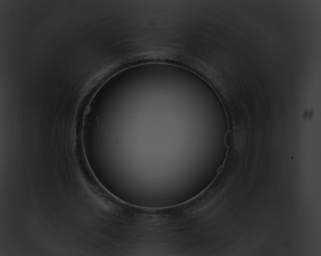 X0000093090486200710031441
