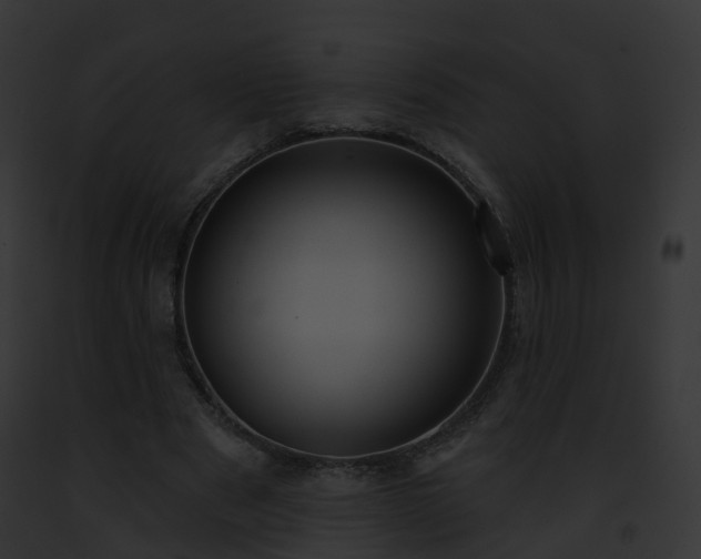X0000093090489200710031441