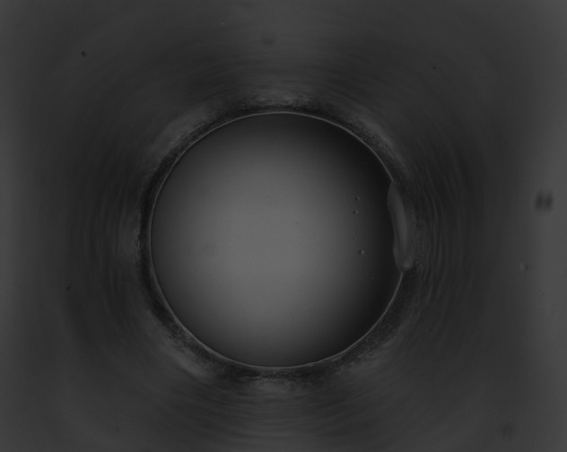 X0000093090490200710031441