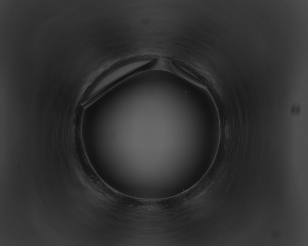 X0000093090492200710031441