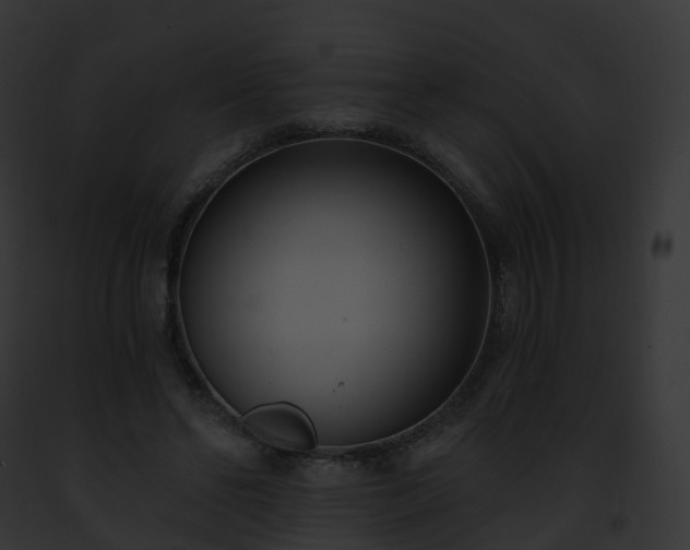X0000093090494200710031441