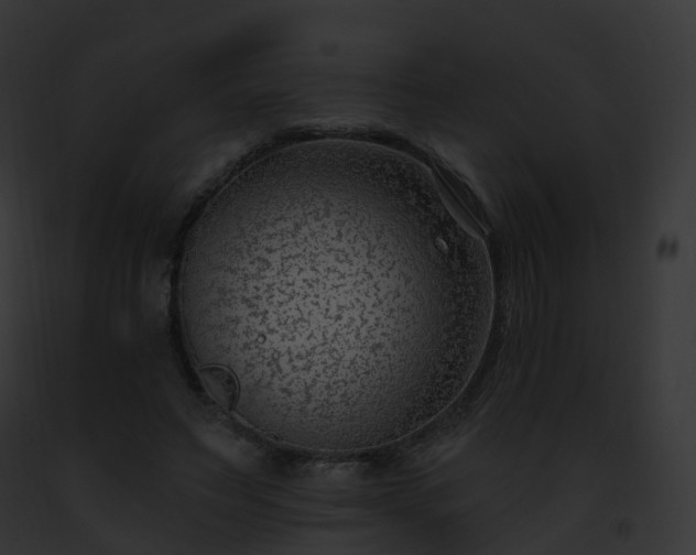 X0000093090495200710031441