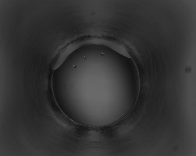 X0000093090496200710031441