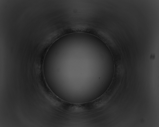 X0000093090498200710031441