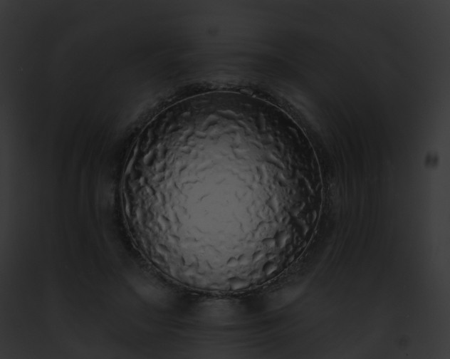 X0000093090499200710031441