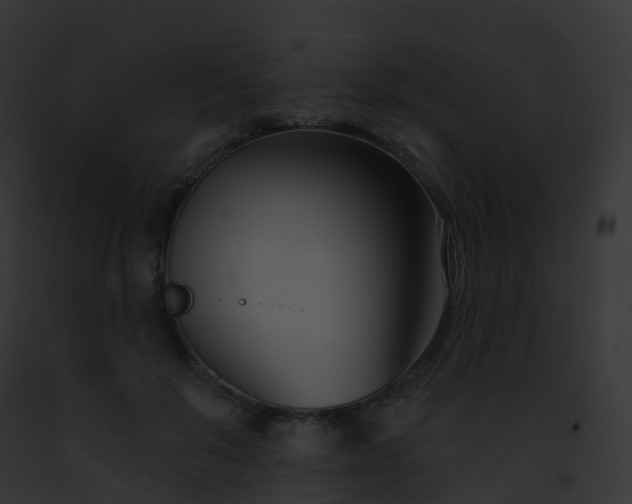 X0000093090503200710031441