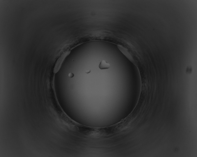 X0000093090504200710031441