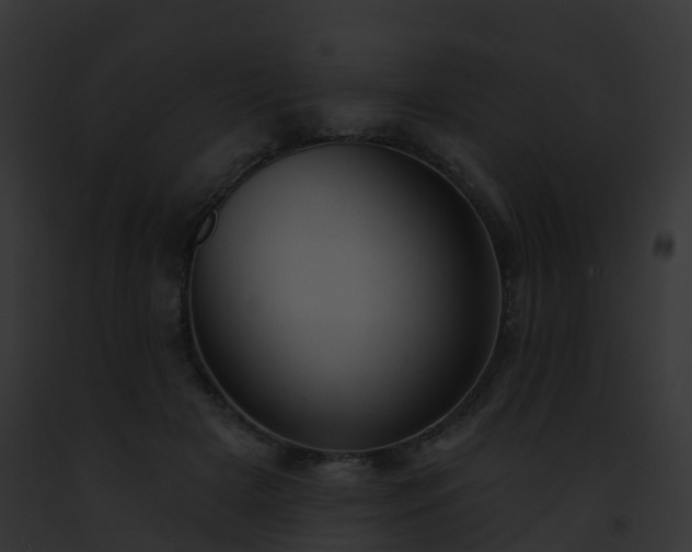 X0000093090505200710031441