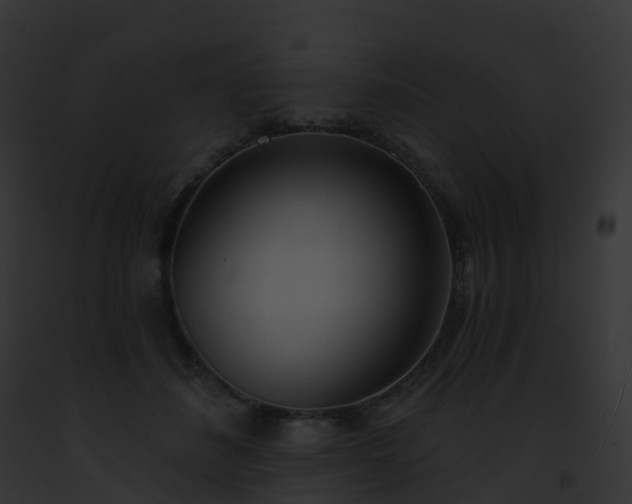 X0000093090508200710031441