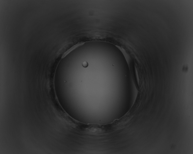X0000093090512200710031441