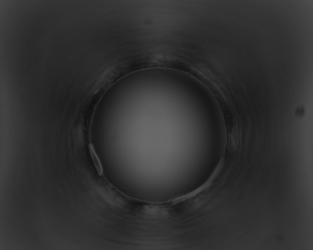 X0000093090520200710031441