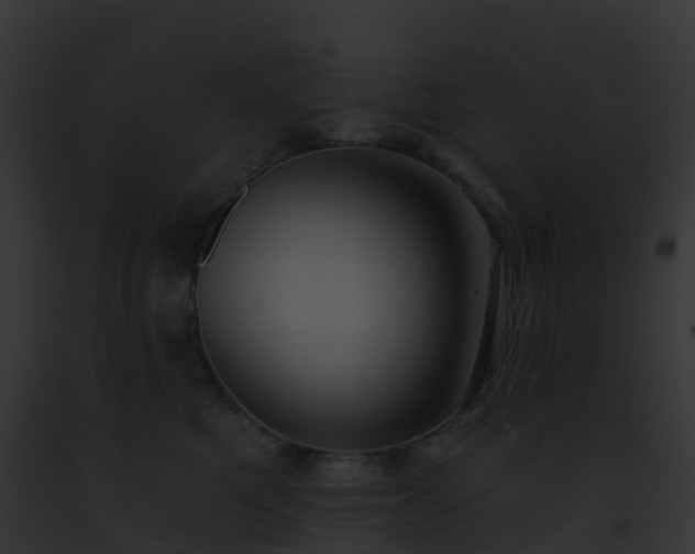 X0000093090521200710031441