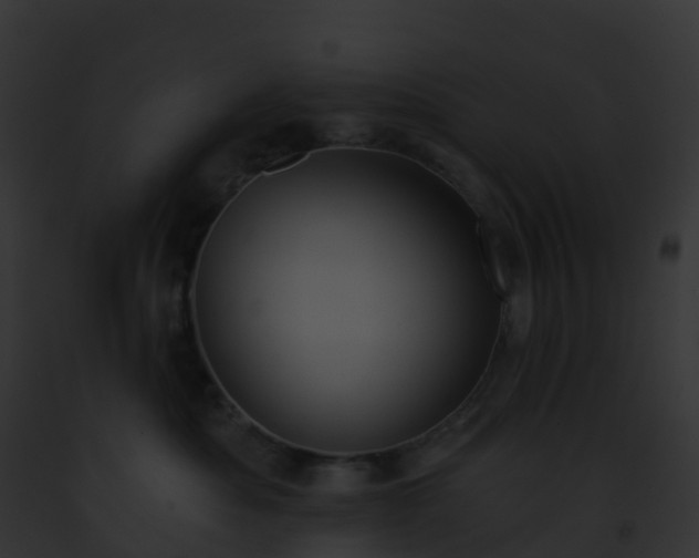 X0000093090525200710031441