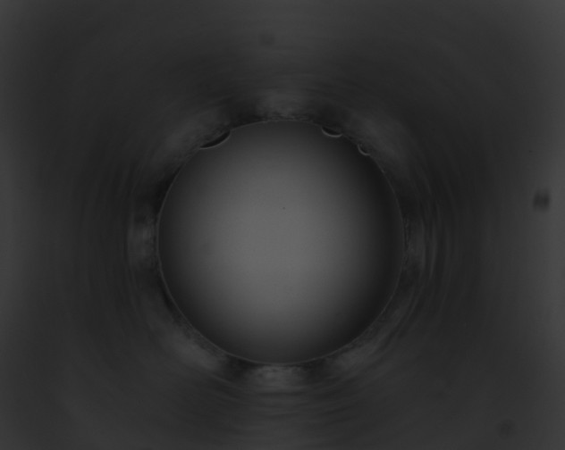 X0000093090526200710031441
