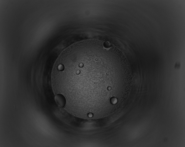 X0000093090527200710031441