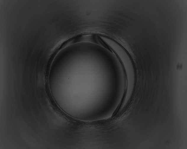 X0000093090530200710031440
