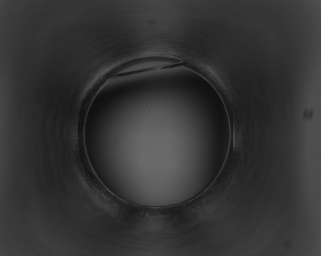 X0000093090531200710031440