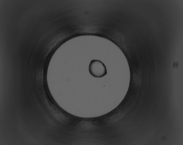 X0000093090534200710031440