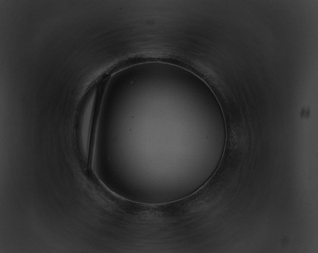 X0000093090535200710031440