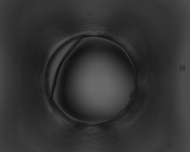 X0000093090536200710031440