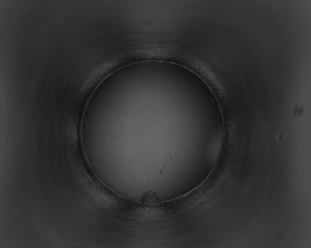 X0000093090537200710031440