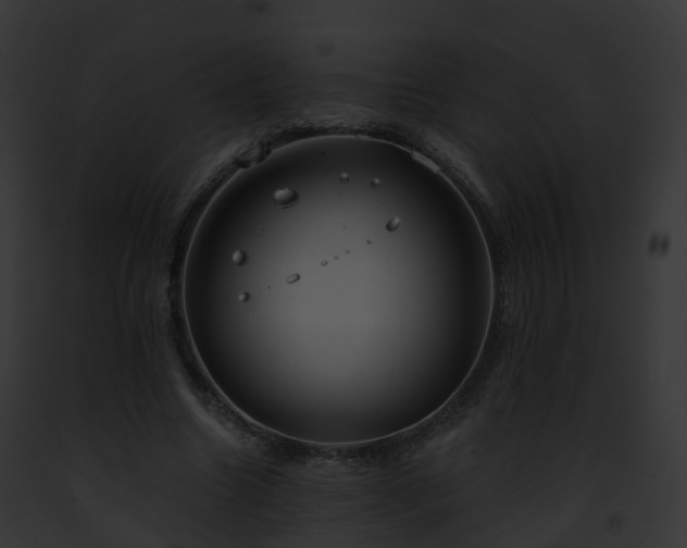 X0000093090538200710031440
