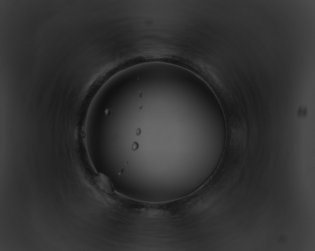 X0000093090539200710031440