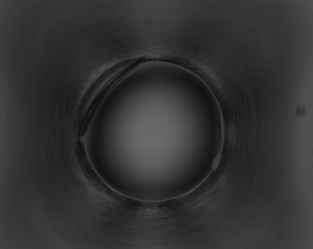 X0000093090540200710031440