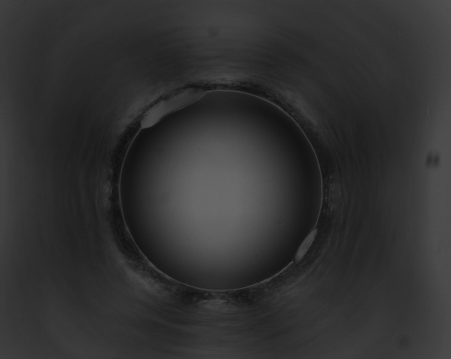 X0000093090544200710031440